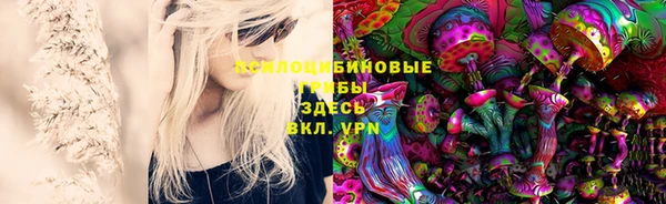 a pvp Алексин